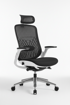 H2O Office Chair with Mesh Backrest (One Chair)